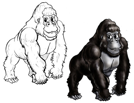 Gorilla cartoon color and line