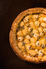 Perfect Pasta Classic Italian Homemade Artisan Bacon Tomato Sauce Sausage Sweet Melted Cheese Onion Chicken Meat Shrimp Menu Gourmet on a Dark Background