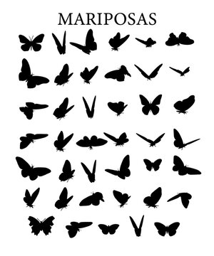 Silueta vectorial de mariposas.