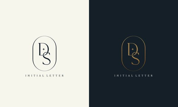 premium DS logo monogram with gold circle frame. luxury initials design minimal modern typeface