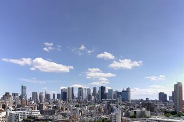 Fototapeta premium tokyo Shinjuku 
