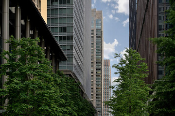 Obraz na płótnie Canvas downtown city 2022/05/22 16:10 Tokyo Otemachi