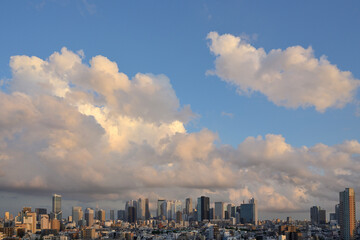 Fototapeta premium City illuminated by the setting sun 2022/06/12 18:41 Tokyo Shinjyuku 