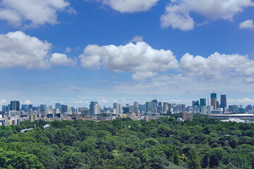 Fototapeta premium downtown city 2022/07/10 12:44 Tokyo Sinjyukugyoen