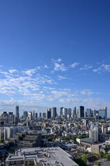 Naklejka premium city skyline, 2022/05/28 06:44, Tokyo Shinjuku skyscrapers