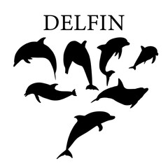 Silueta vectorial del delfín.
