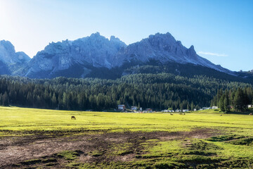 Tre Cime Lavaredo Panoramic Vista