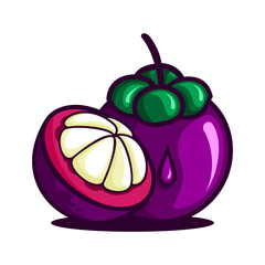 vector illustration of mangosteen fruit, mangosteen split vector