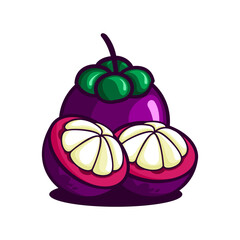 vector illustration of mangosteen fruit, mangosteen split vector