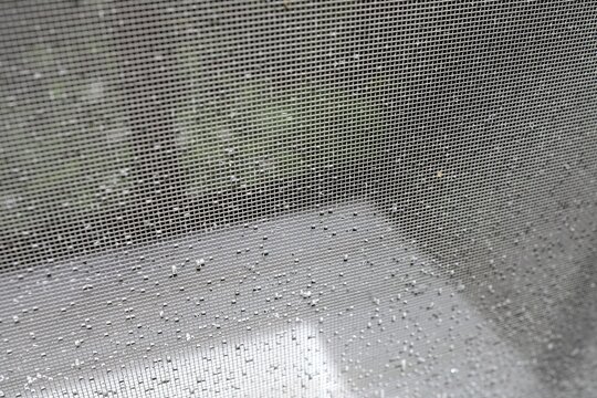 Water droplets on the screen door after the rain and the scenery through the screen door.