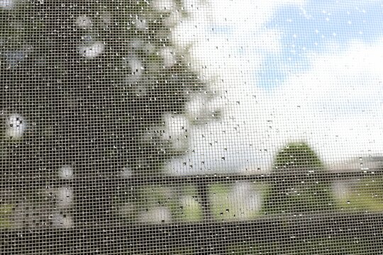 Water droplets on the screen door after the rain and the scenery through the screen door. - Powered by Adobe