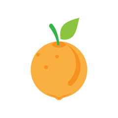 Orange logo design Vector icon illustration design