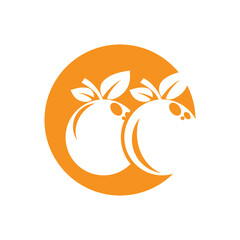 Orange logo design Vector icon illustration design