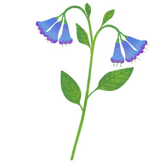 Hand drawn flowers blossom