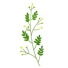 Hand drawn flowers blossom