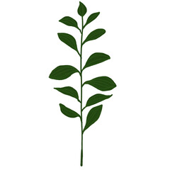 Hand drawn Green leaf and leaves illustrative