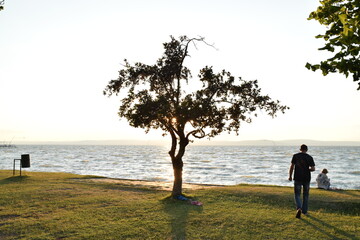 walking in the beach, sunset