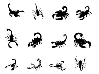 Abstract vector illustration of scorpion Stock Vector Image. silhouette scorpion vector. Scorpion Image