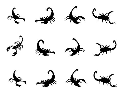 Scorpion Silhouette Images. Free Vectors image. Scorpion Image. Scorpion Vector Image