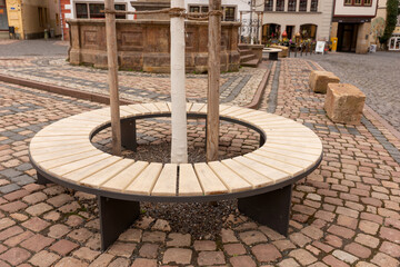 Round wooden bench around the tree trunk