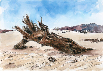Desert with dead tree trunk. Ink and watercolor on paper.