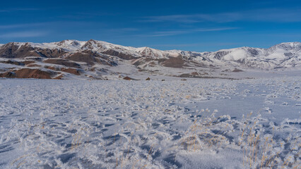 A picturesque mountain range with red-brown slopes against a blue sky. In the foreground is a snow-covered valley with frost-covered dry grass. Altai Mars Kyzyl-Chin