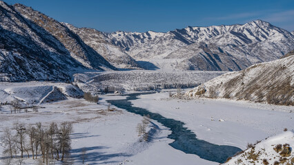 Turquoise ice-free river winds among the icy shores. Bare trees in the valley. Picturesque mountains against the blue sky. Altai. Katun
