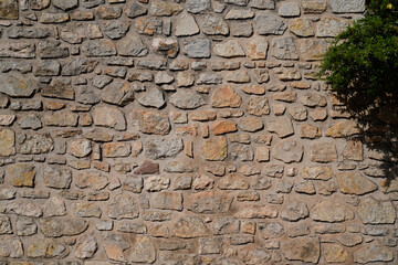 gray stone wall background with natural greenery in the corner like wallpaper