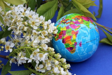 Fototapete bei efototapeten.de bestellen   