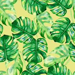 Monstera leaves seamless watercolor pattern. Green tropical leaves endless hand drawn background. Exotic natural wallpaper. Print for textiles and clothes.