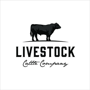 Black angus cattle logo with masculine style design