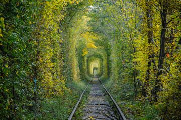 Railway track with yellow tree tunnel.