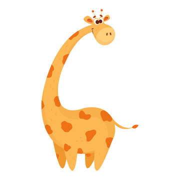 Cute vector giraffe in cartoon style isolated on white background