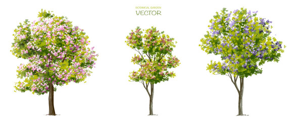 Fototapeta premium Vector watercolor blooming flower tree side view isolated on white background for landscape and architecture drawing, elements for environment or and garden,botanical elements for section 
