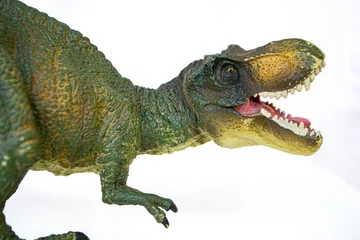 Wandcirkels aluminium Tyrannosaurus dinosaurs toy isolated on white background with clipping path. High quality photo © Luci