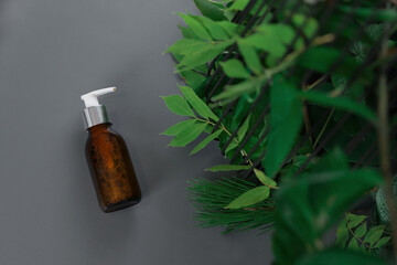the dispenser for the product lies on a gray background near the foliage