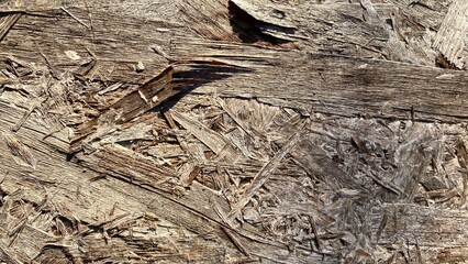 Wood texture background grunge and bulky material prefabricated wood surface 