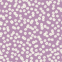 Seamless vector  floral pattern. Small disy flower background.