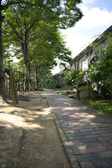 散歩道, 歩行, 人道, 風景, 木, 自然, 歩道, 小道, アウトドア, 空, 古代の, 建築