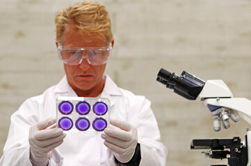 Scientific researcher examining a cell assay plate against coronavirus SARS-CoV-2. Scientific...