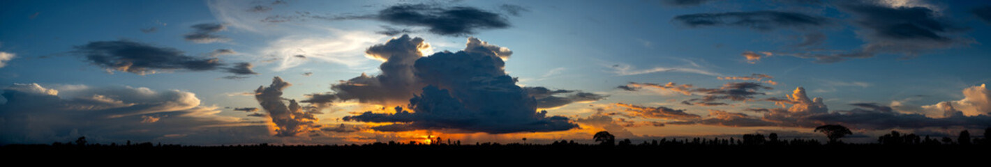 Panorama photo of Landscape sunset with dark clouds.Tree silhouetted against a setting sun.Dark tree on open field dramatic sunrise and blue sky.