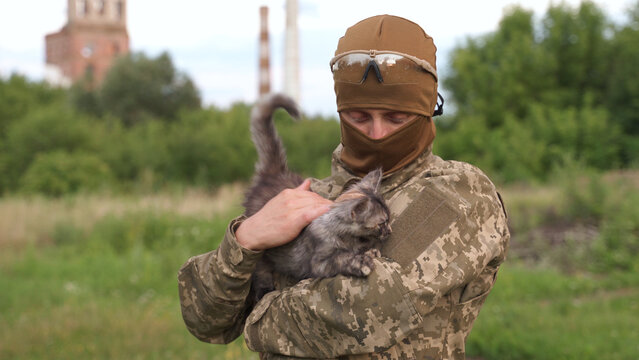 Military man in camouflage uniform and balaclava holds a cute little grey and red kitten on his shoulder. Incredibly cute photo of a soldier playing with the  kitten outdoors.