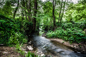 Forest stream. creek flowing through the woods. Course of small brook through the forest