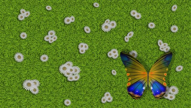 Filmato. Illustrazione 3D. Primavera, estate. Fiori e farfalle su prato verde texture. Sfondo campo di erba con fiori colorati e farfalle..