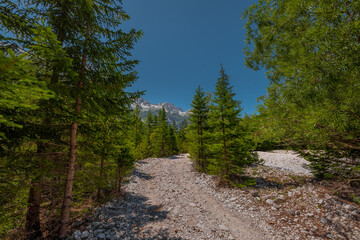 Fototapeta na wymiar Hiking path leading from Valbona valley to Theth, a popular hiking spot in Albania leading through nice forests on a summer day.