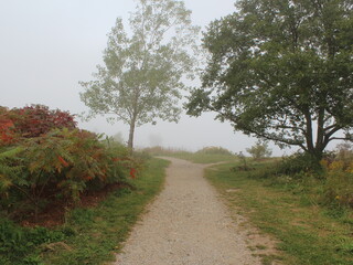 mountain view and zoo 