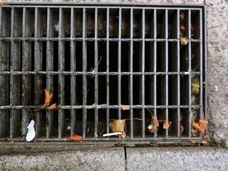 drain wire mesh in the street