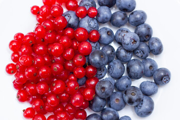 berries on white