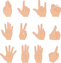 hand gestures and sign, vector flat design illustration collections