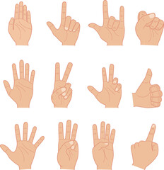 Fototapeta premium hand gestures and sign, vector flat design illustration collections
